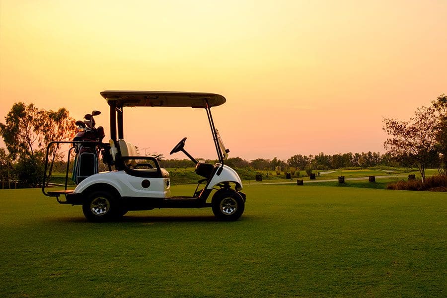 Recreation & Power-Sports - Golf Carts